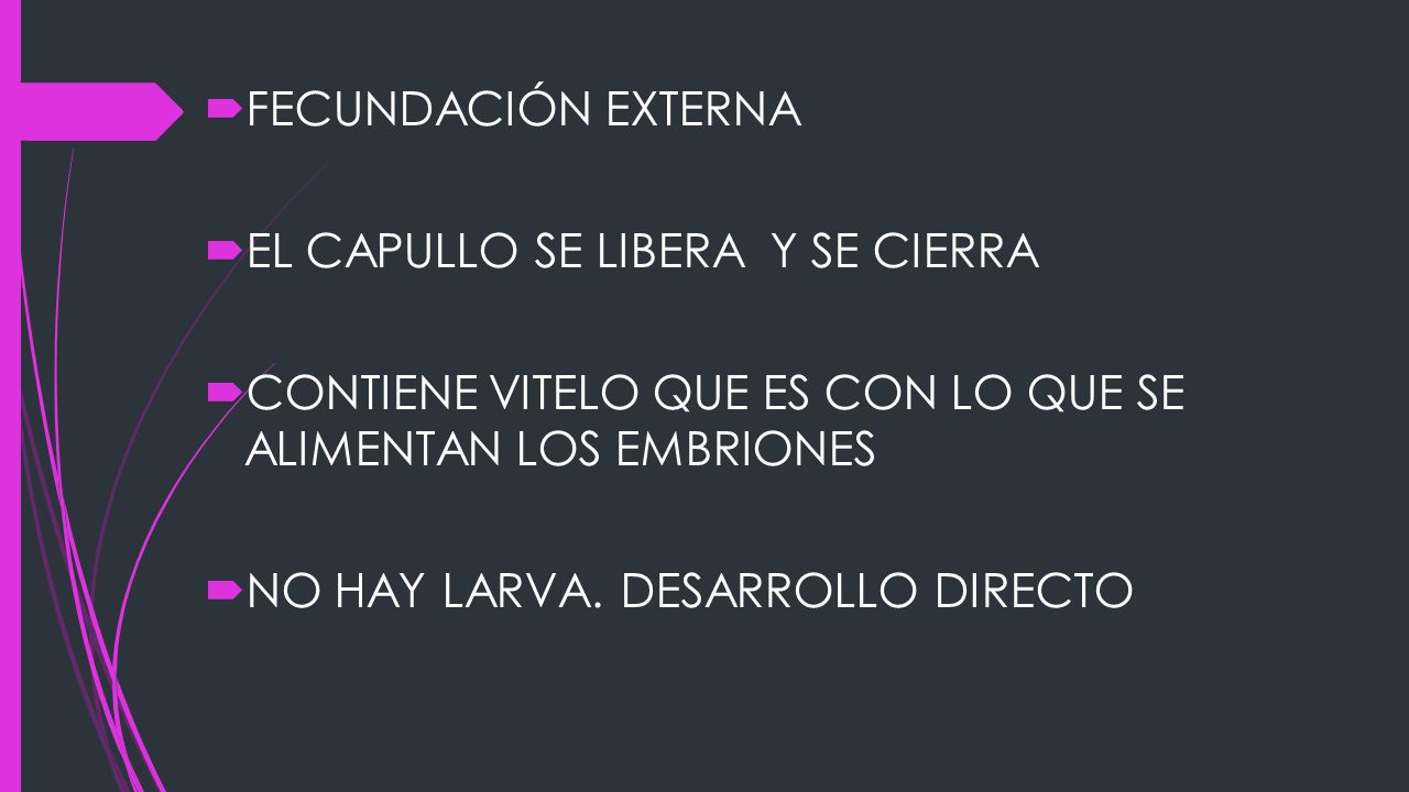 FECUNDACIÓN EXTERNA EL CAPULLO SE LIBERA Y SE CIERRA. CONTIENE VITELO QUE ES CON LO QUE SE ALIMENTAN LOS EMBRIONES.
