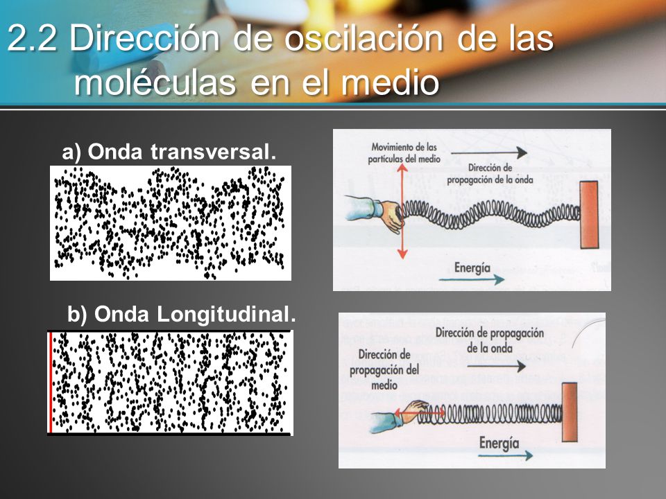2.2 Dirección de oscilación de las moléculas en el medio