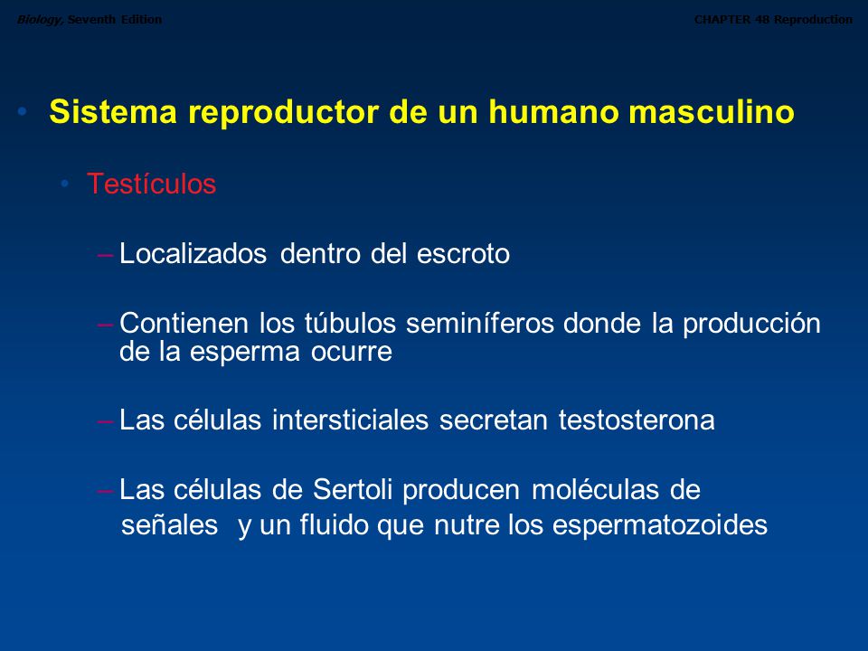 Sistema reproductor de un humano masculino
