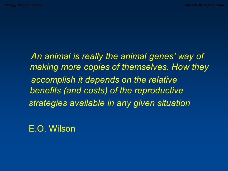 An animal is really the animal genes’ way of making more copies of themselves. How they