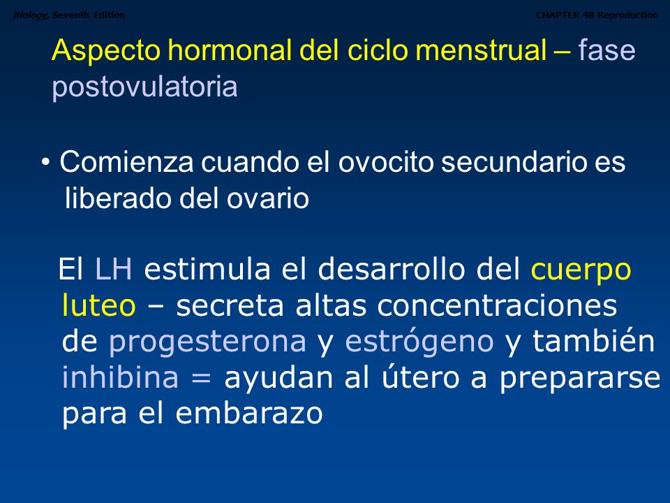Aspecto hormonal del ciclo menstrual – fase postovulatoria
