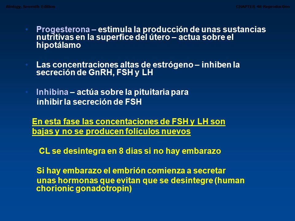 Progesterona – estimula la producción de unas sustancias nutritivas en la superfice del útero – actua sobre el hipotálamo