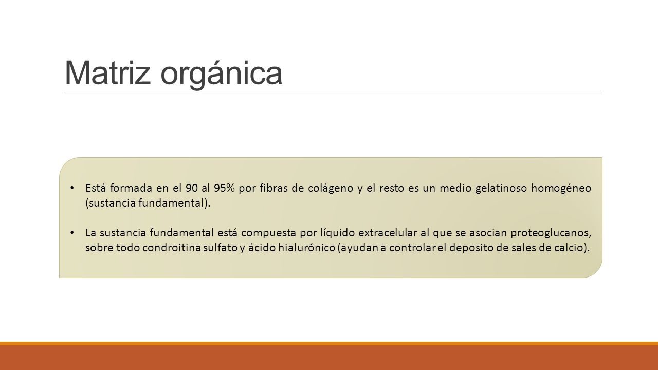 Matriz orgánica Está formada en el 90 al 95% por fibras de colágeno y el resto es un medio gelatinoso homogéneo (sustancia fundamental).
