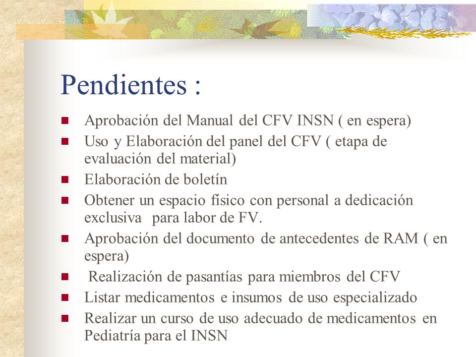 Pendientes : Aprobación del Manual del CFV INSN ( en espera)