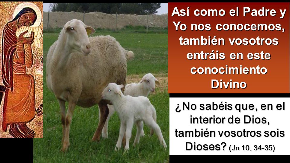 Así como el Padre y Yo nos conocemos, también vosotros entráis en este conocimiento Divino