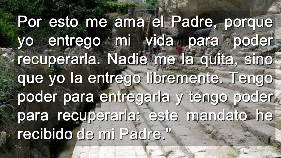 Por esto me ama el Padre, porque yo entrego mi vida para poder recuperarla.