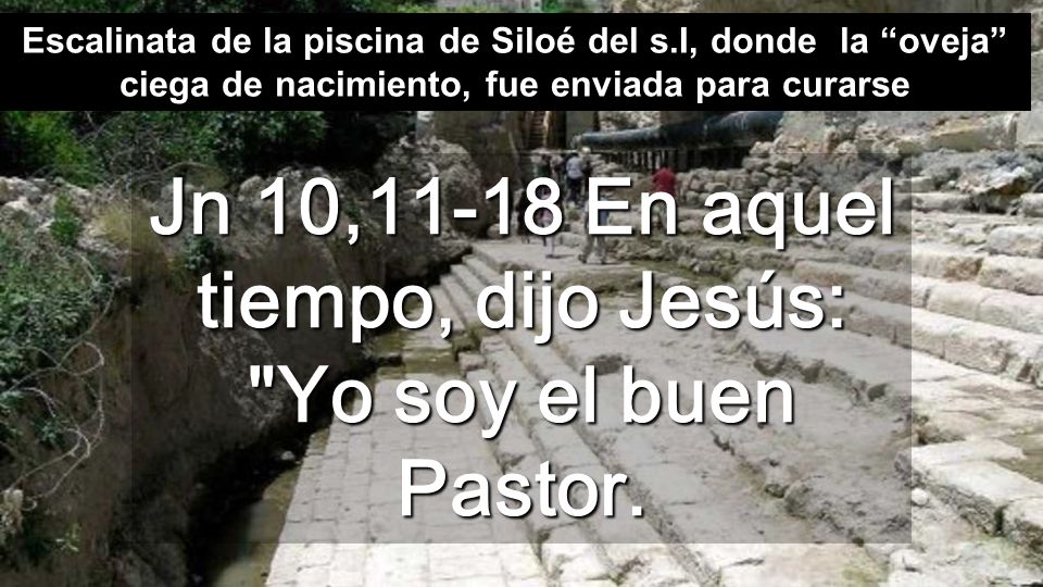 Jn 10,11-18 En aquel tiempo, dijo Jesús: Yo soy el buen Pastor.