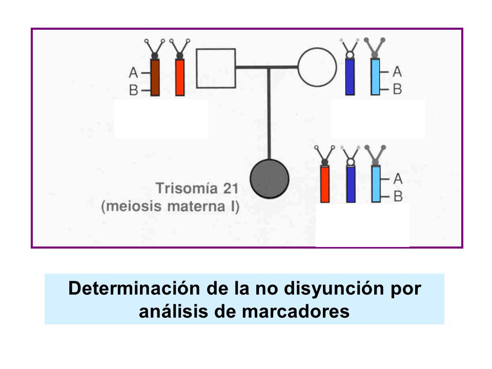 Determinación de la no disyunción por análisis de marcadores