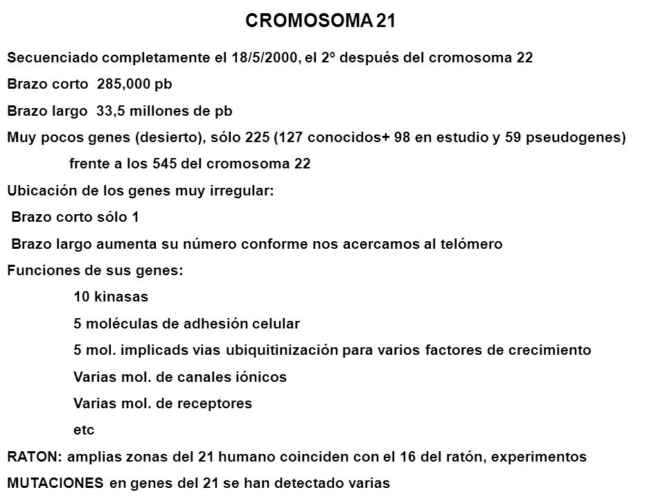 CROMOSOMA 21 Secuenciado completamente el 18/5/2000, el 2º después del cromosoma 22. Brazo corto 285,000 pb.