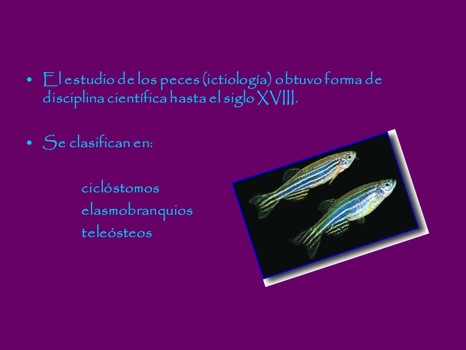 El estudio de los peces (ictiología) obtuvo forma de disciplina científica hasta el siglo XVIII.