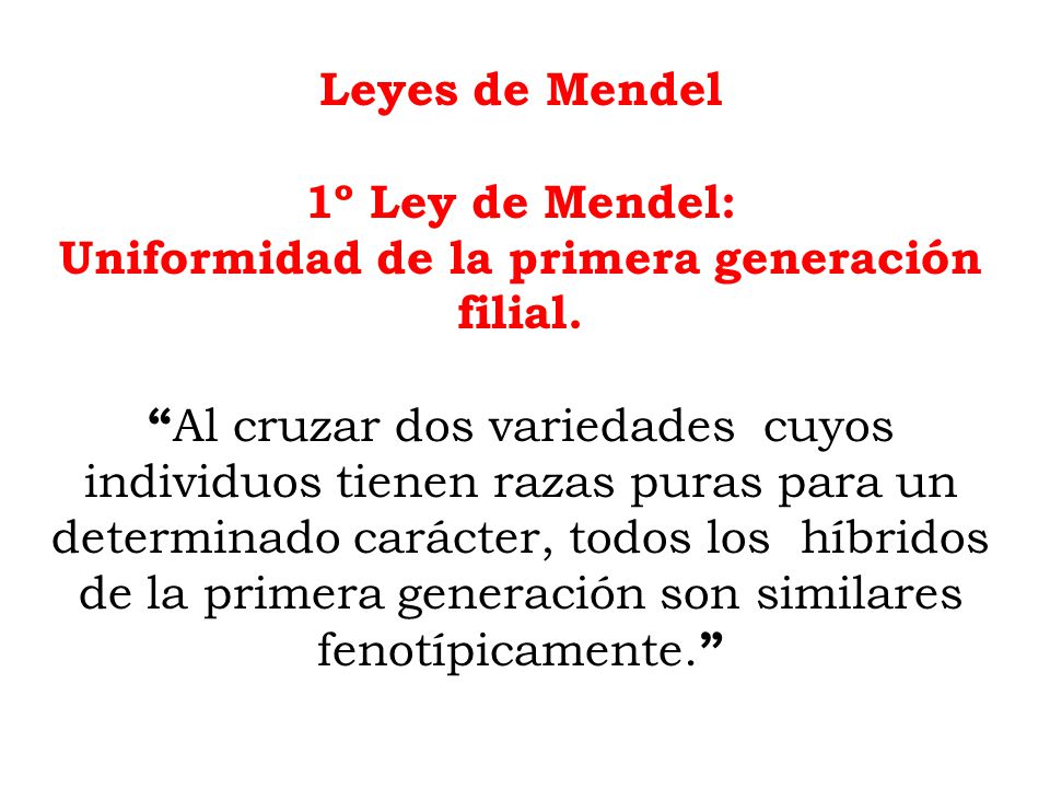 Uniformidad de la primera generación filial.