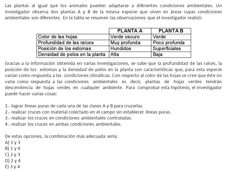 Las plantas al igual que los animales pueden adaptarse a diferentes condiciones ambientales. Un investigador observa dos plantas A y B de la misma especie que viven en áreas cuyas condiciones ambientales son diferentes. En la tabla se resumen las observaciones que el investigador realizó: