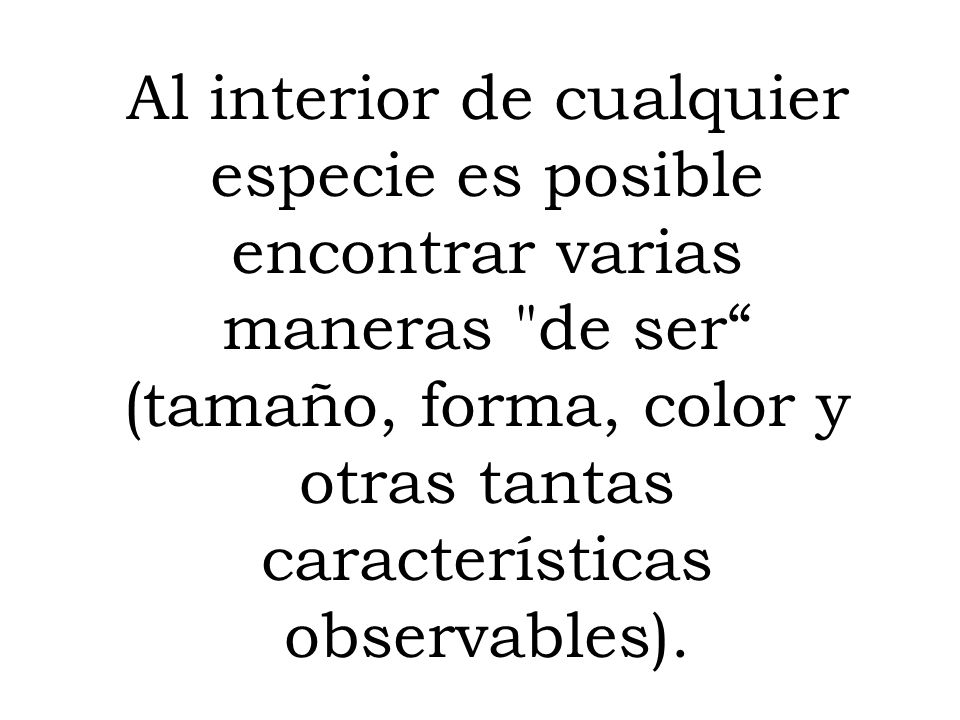 Al interior de cualquier especie es posible encontrar varias maneras de ser (tamaño, forma, color y otras tantas características observables).