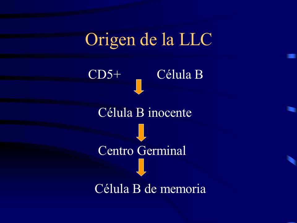 Origen de la LLC CD5+ Célula B Célula B inocente Centro Germinal