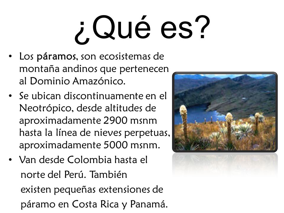 ¿Qué es Los páramos, son ecosistemas de montaña andinos que pertenecen al Dominio Amazónico.
