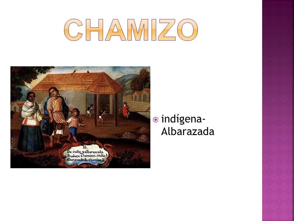 Chamizo indígena- Albarazada