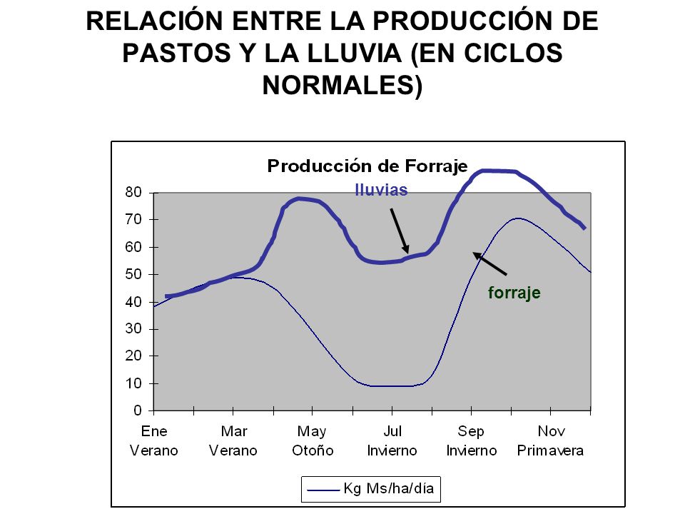 RELACIÓN ENTRE LA PRODUCCIÓN DE PASTOS Y LA LLUVIA (EN CICLOS NORMALES)