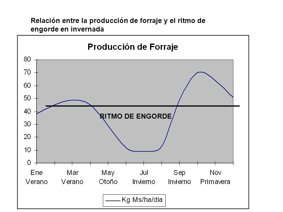Relación entre la producción de forraje y el ritmo de engorde en invernada