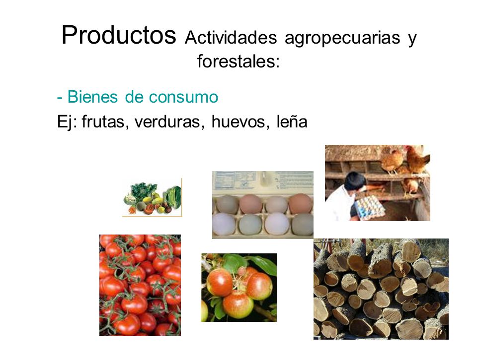 Productos Actividades agropecuarias y forestales: