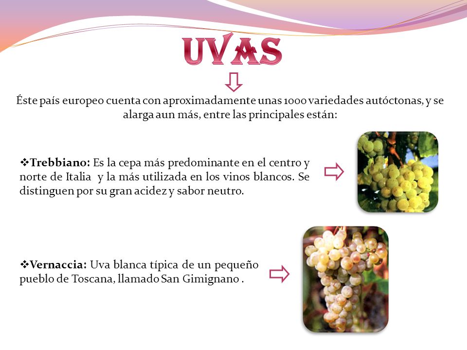 uvas Éste país europeo cuenta con aproximadamente unas 1000 variedades autóctonas, y se alarga aun más, entre las principales están: