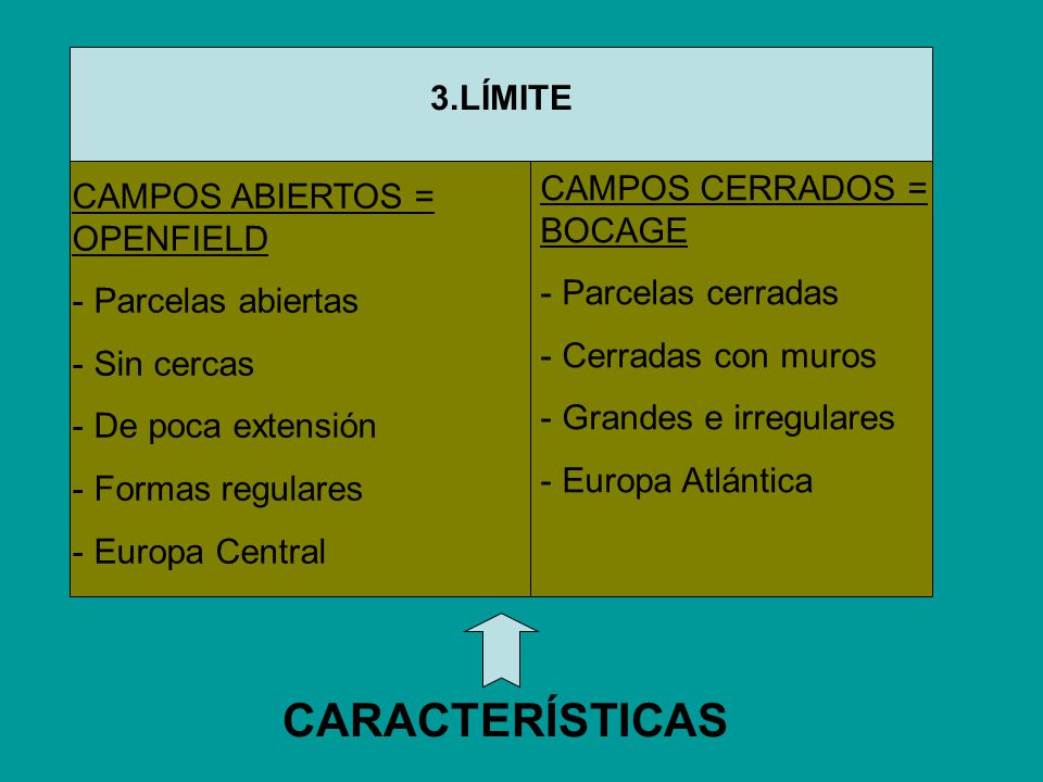 CARACTERÍSTICAS 3.LÍMITE CAMPOS CERRADOS = BOCAGE