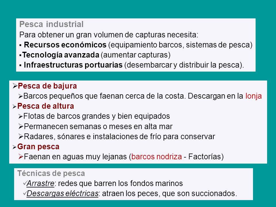 Pesca industrial Para obtener un gran volumen de capturas necesita: