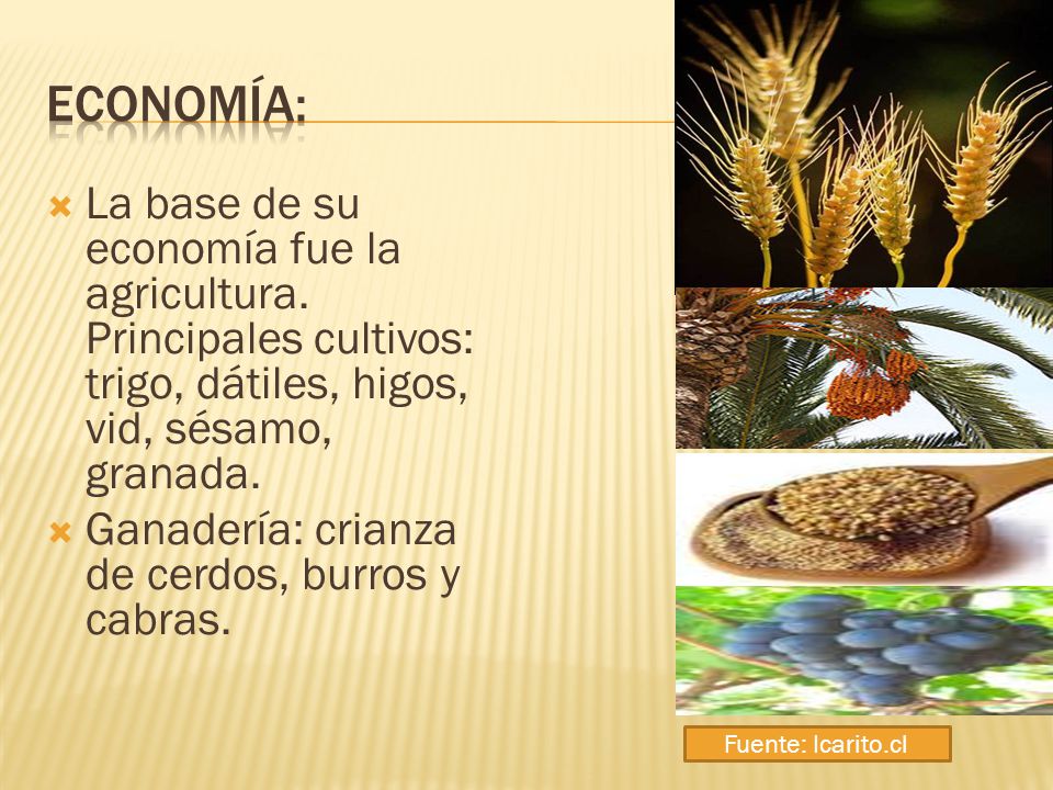 Economía: La base de su economía fue la agricultura. Principales cultivos: trigo, dátiles, higos, vid, sésamo, granada.