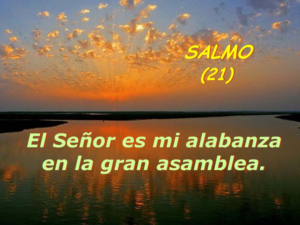 El Señor es mi alabanza en la gran asamblea.