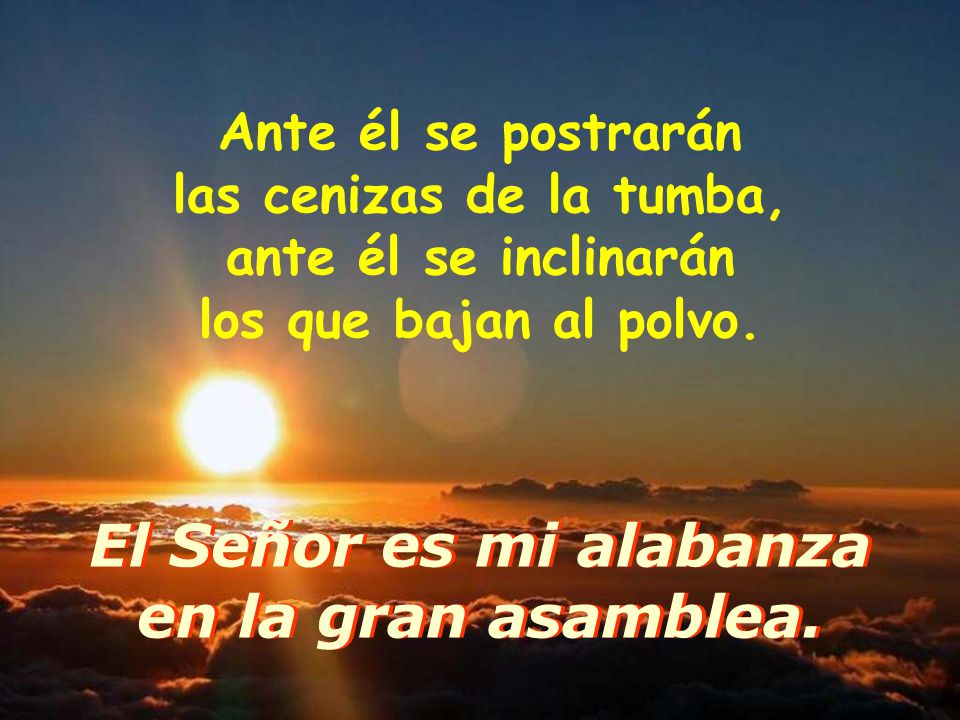 El Señor es mi alabanza en la gran asamblea.