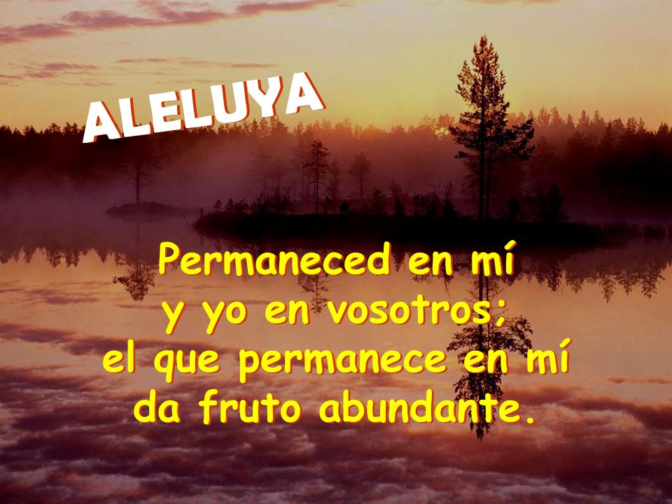 ALELUYA Permaneced en mí y yo en vosotros; el que permanece en mí