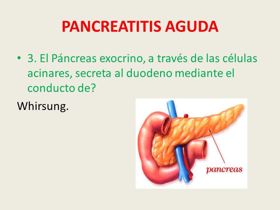 PANCREATITIS AGUDA 3. El Páncreas exocrino, a través de las células acinares, secreta al duodeno mediante el conducto de