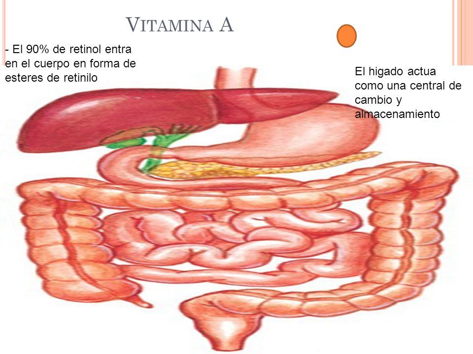 Vitamina A - El 90% de retinol entra en el cuerpo en forma de esteres de retinilo. El higado actua como una central de cambio y almacenamiento.