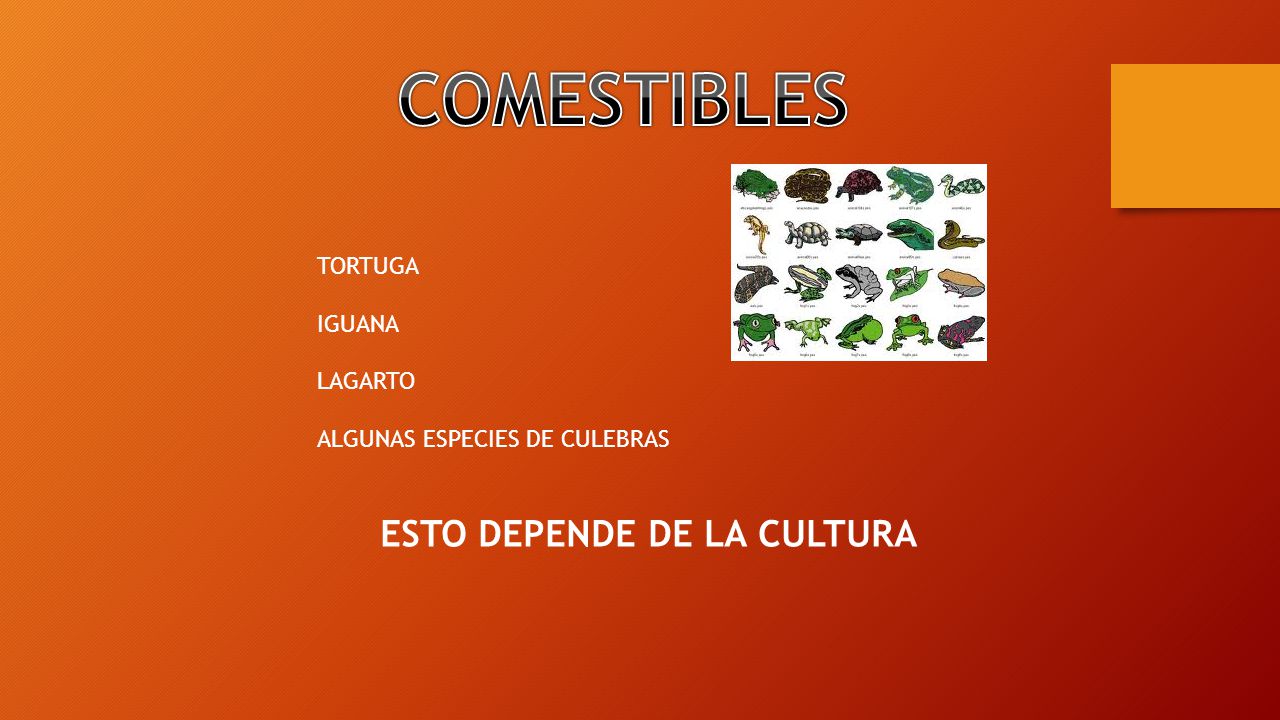 ESTO DEPENDE DE LA CULTURA