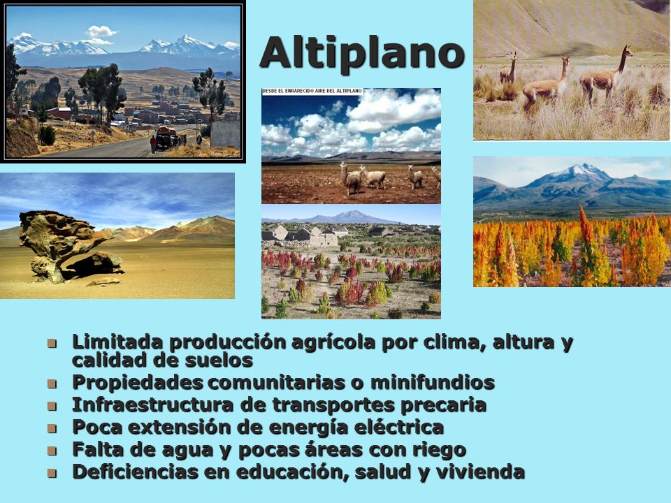 Altiplano Limitada producción agrícola por clima, altura y calidad de suelos. Propiedades comunitarias o minifundios.
