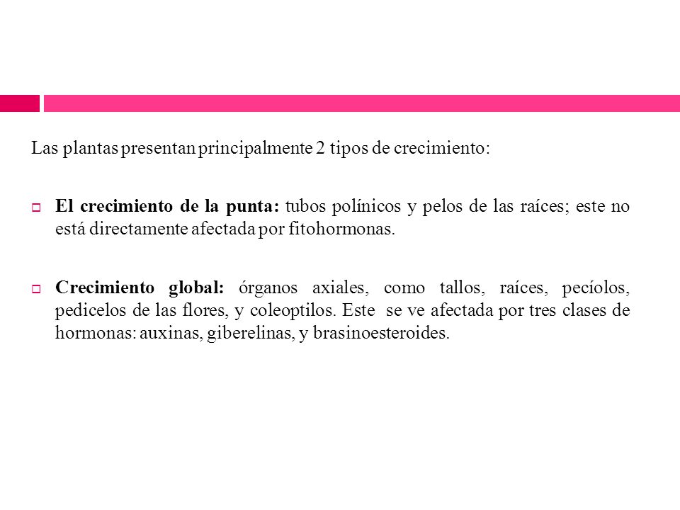 Las plantas presentan principalmente 2 tipos de crecimiento: