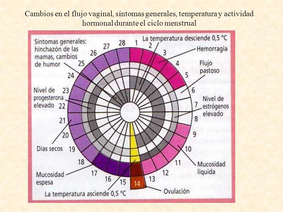 Cambios en el flujo vaginal, síntomas generales, temperatura y actividad hormonal durante el ciclo menstrual