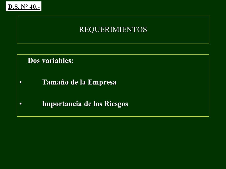REQUERIMIENTOS Tamaño de la Empresa Importancia de los Riesgos