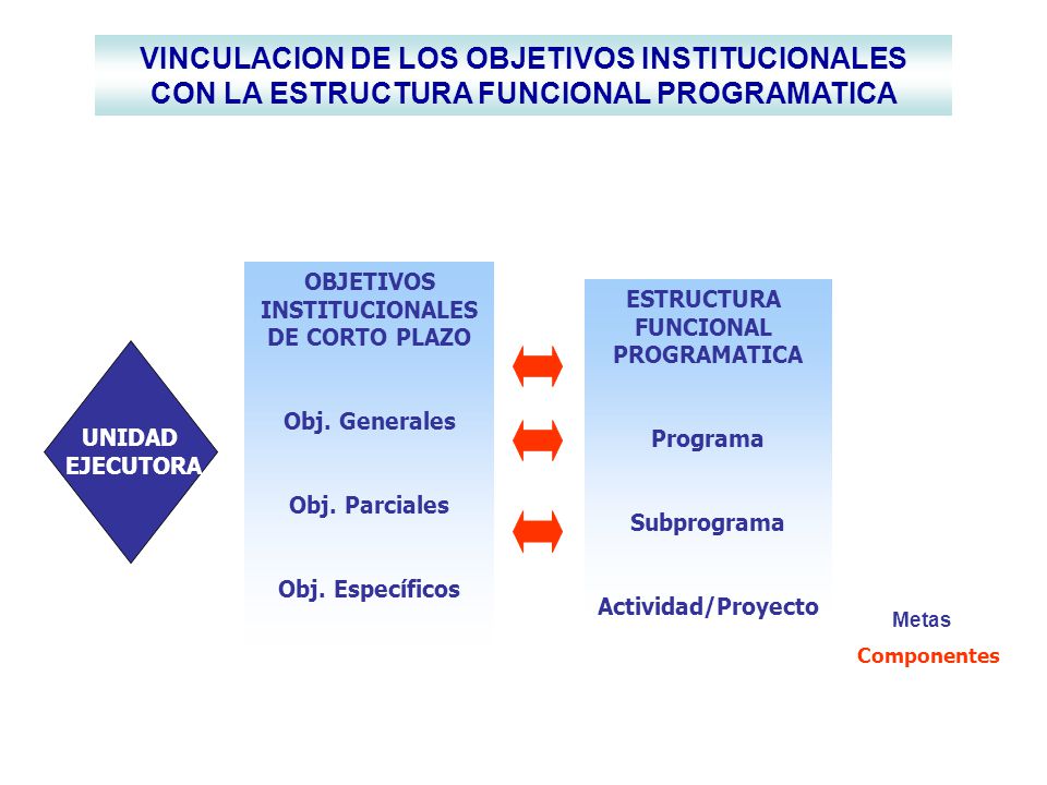 VINCULACION DE LOS OBJETIVOS INSTITUCIONALES CON LA ESTRUCTURA FUNCIONAL PROGRAMATICA