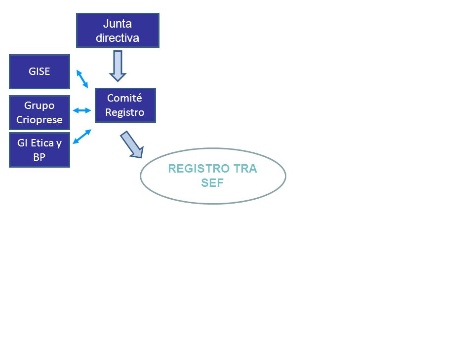 Junta directiva GISE Comité Registro Grupo Crioprese GI Etica y BP REGISTRO TRA SEF