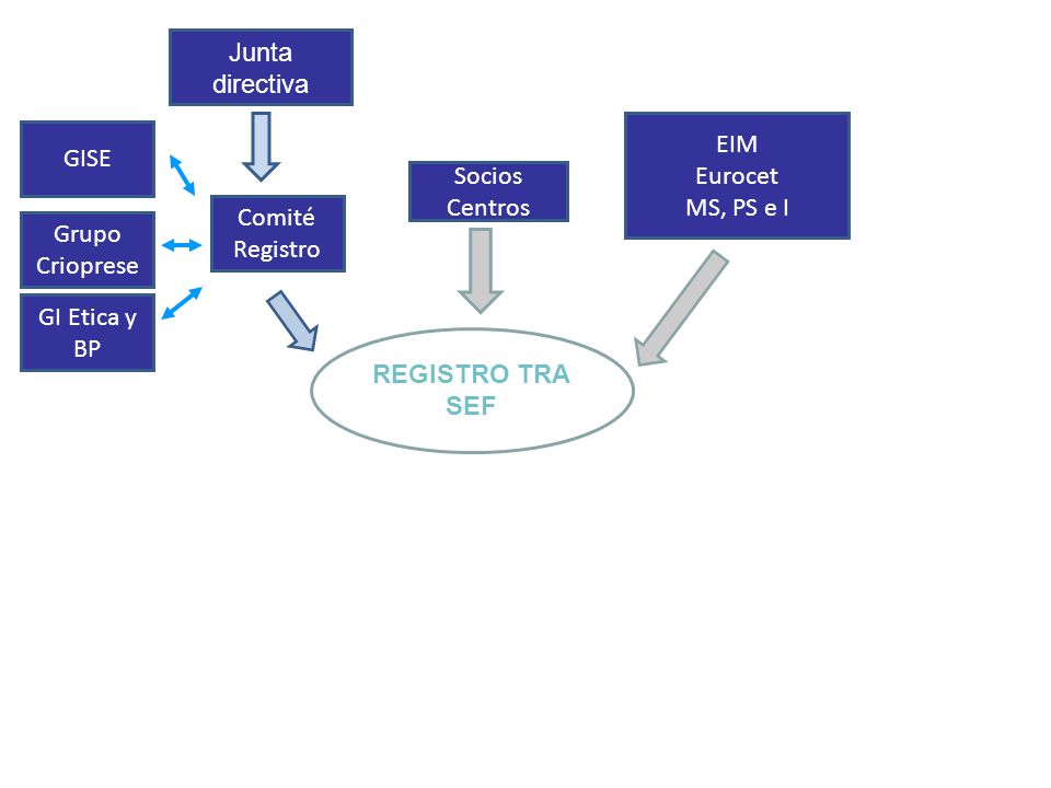 Junta directiva EIM. Eurocet. MS, PS e I. GISE. Socios Centros. Comité Registro. Grupo. Crioprese.