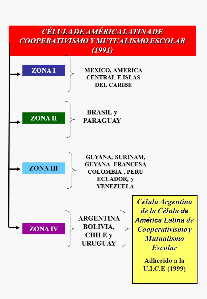 CÉLULA DE AMÉRICA LATINA DE COOPERATIVISMO Y MUTUALISMO ESCOLAR (1991)