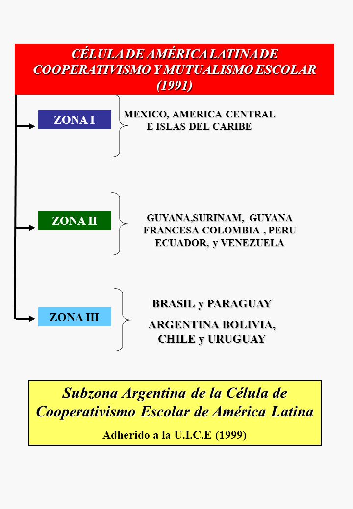CÉLULA DE AMÉRICA LATINA DE COOPERATIVISMO Y MUTUALISMO ESCOLAR (1991)
