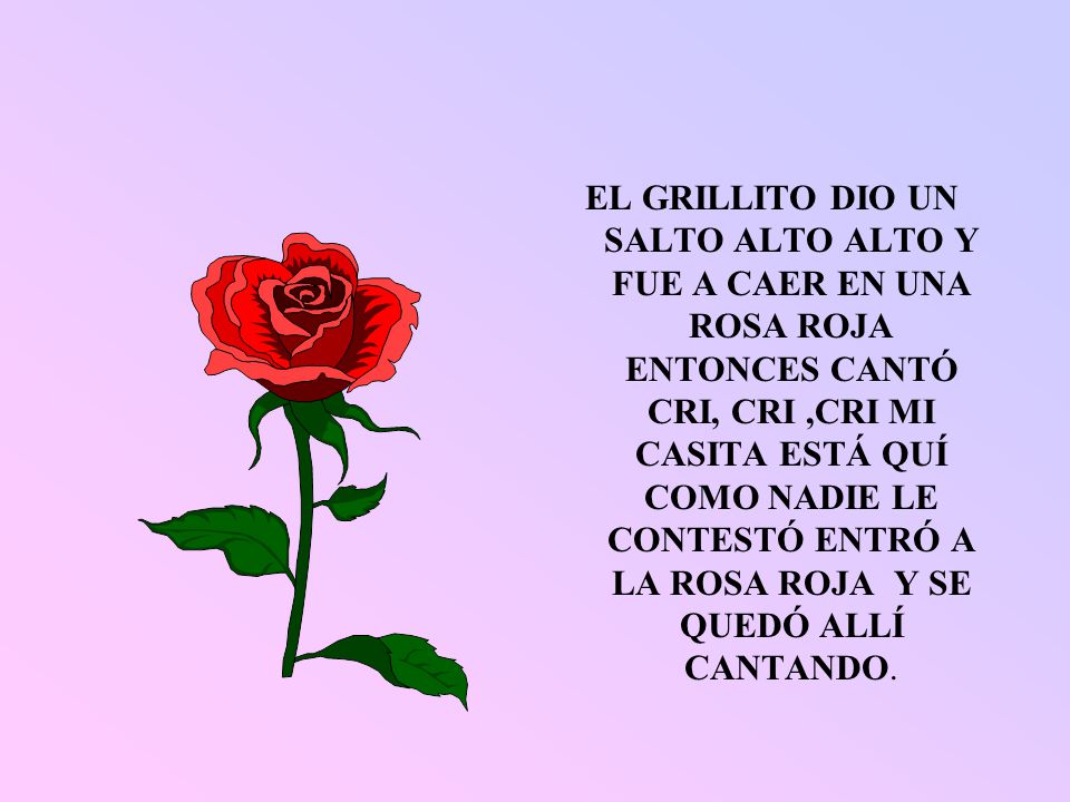 EL GRILLITO DIO UN SALTO ALTO ALTO Y FUE A CAER EN UNA ROSA ROJA ENTONCES CANTÓ CRI, CRI ,CRI MI CASITA ESTÁ QUÍ COMO NADIE LE CONTESTÓ ENTRÓ A LA ROSA ROJA Y SE QUEDÓ ALLÍ CANTANDO.