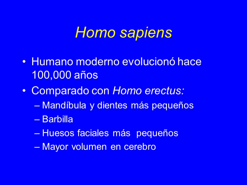 Homo sapiens Humano moderno evolucionó hace 100,000 años