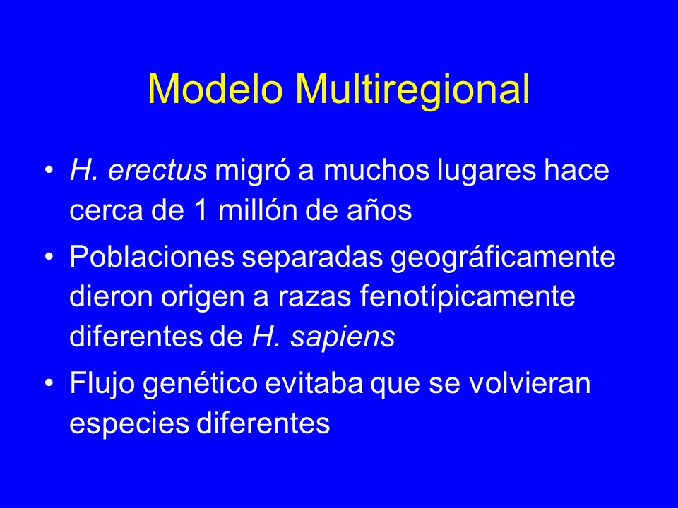 Modelo Multiregional H. erectus migró a muchos lugares hace cerca de 1 millón de años.