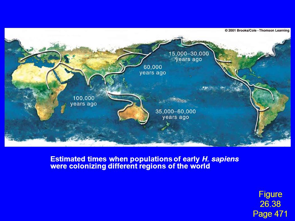 40,000 years ago Estimated times when populations of early H. sapiens were colonizing different regions of the world.
