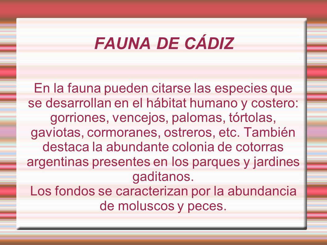 Los fondos se caracterizan por la abundancia de moluscos y peces.