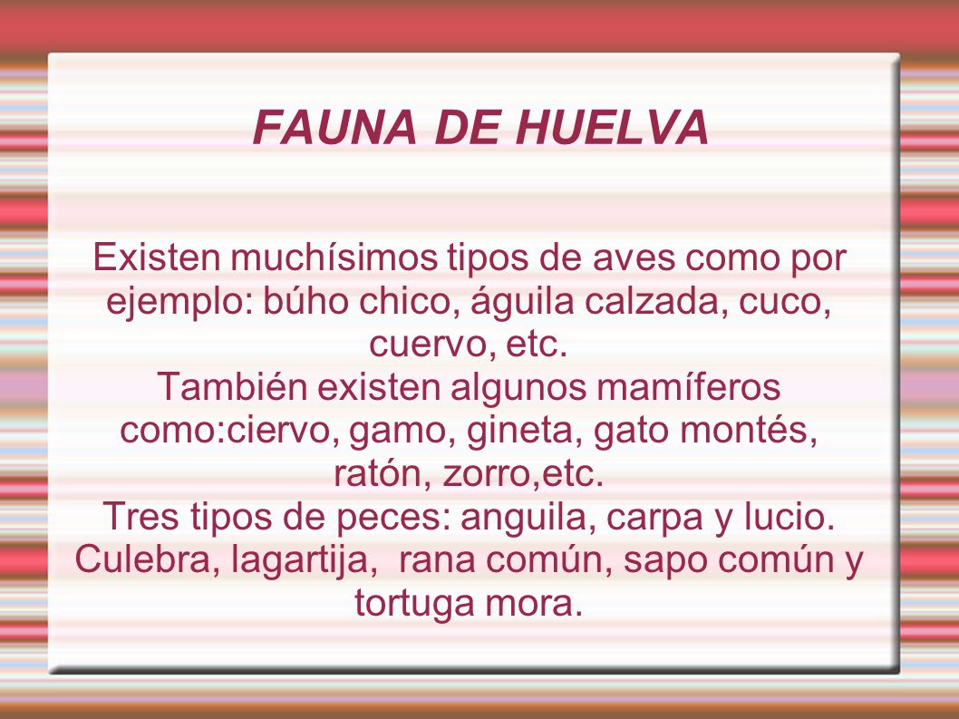 FAUNA DE HUELVA Existen muchísimos tipos de aves como por ejemplo: búho chico, águila calzada, cuco, cuervo, etc.