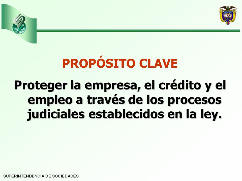 PROPÓSITO CLAVE Proteger la empresa, el crédito y el empleo a través de los procesos judiciales establecidos en la ley.