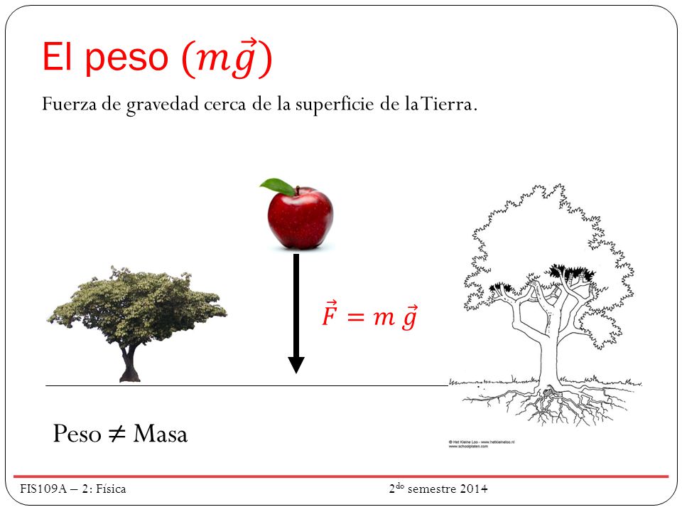El peso (𝑚 𝑔 ) Peso ≠ Masa 𝐹 =𝑚 𝑔
